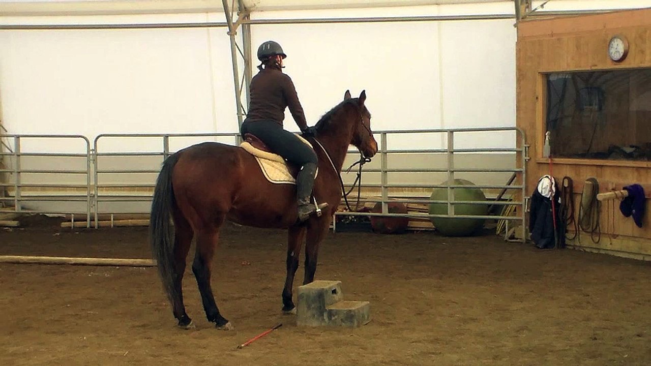 Mary Level 2 Freestyle Audition