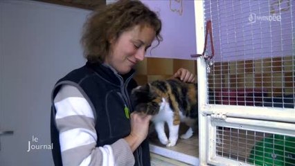 Vacances : Les chiens et chats à l'hôtel (Coëx)