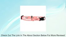 Hunter MFG Dallas Cowboys Pink Dog Collar, Small Review