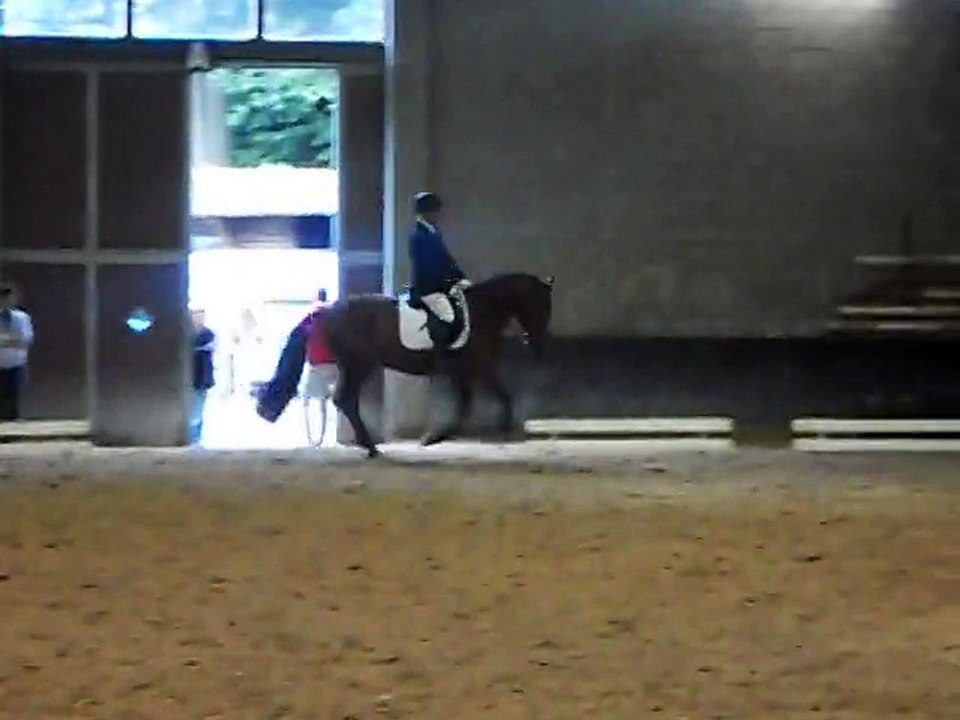 P.G -Alegre