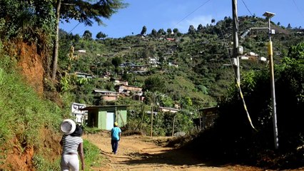 Uma ideia na cabeça e uma luz no poste