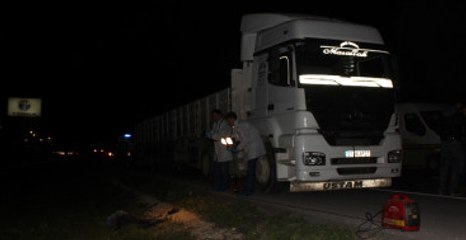Kamyon Şoförü, Levye ile Öldürüldü