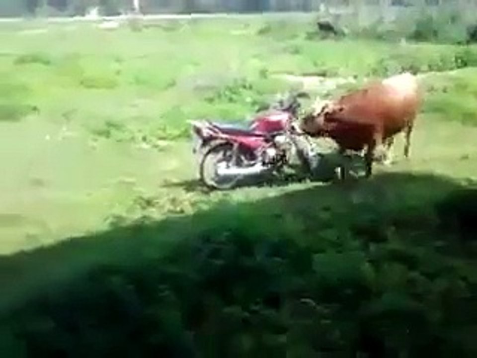 Vai uma voltinha de mota?