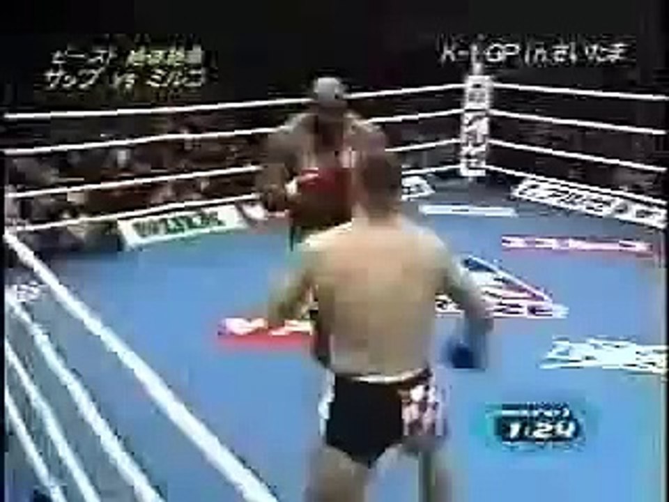 Mirko CroCop KOs Bob Sapp