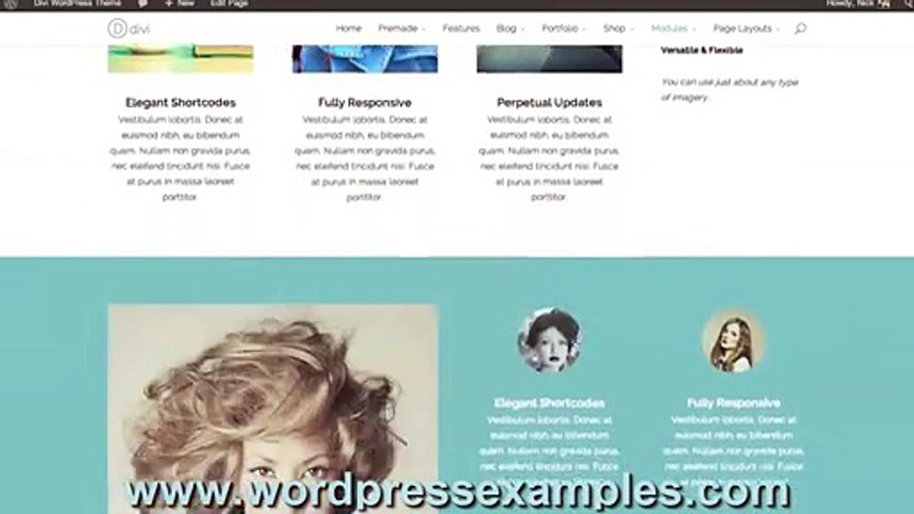 How to Build a Wordpress Website from Scratch with the Divi Builder - tutorial