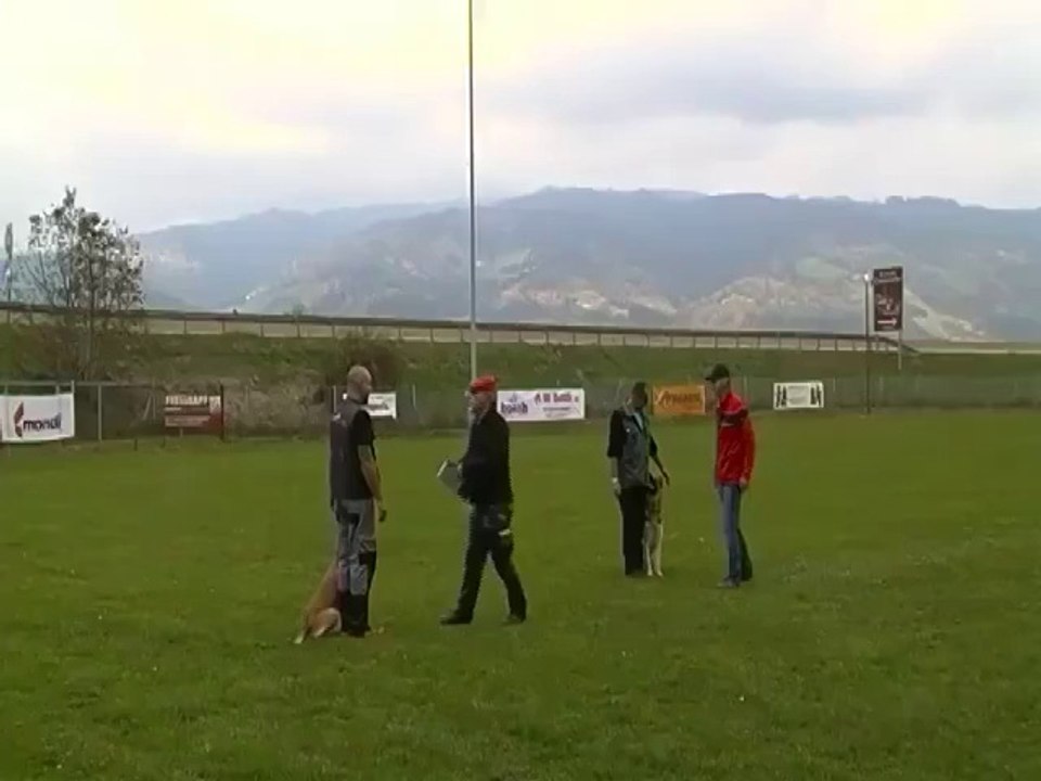 Be Aware Cobra @ ÖKV-LM IPO3 Steiermark 2014