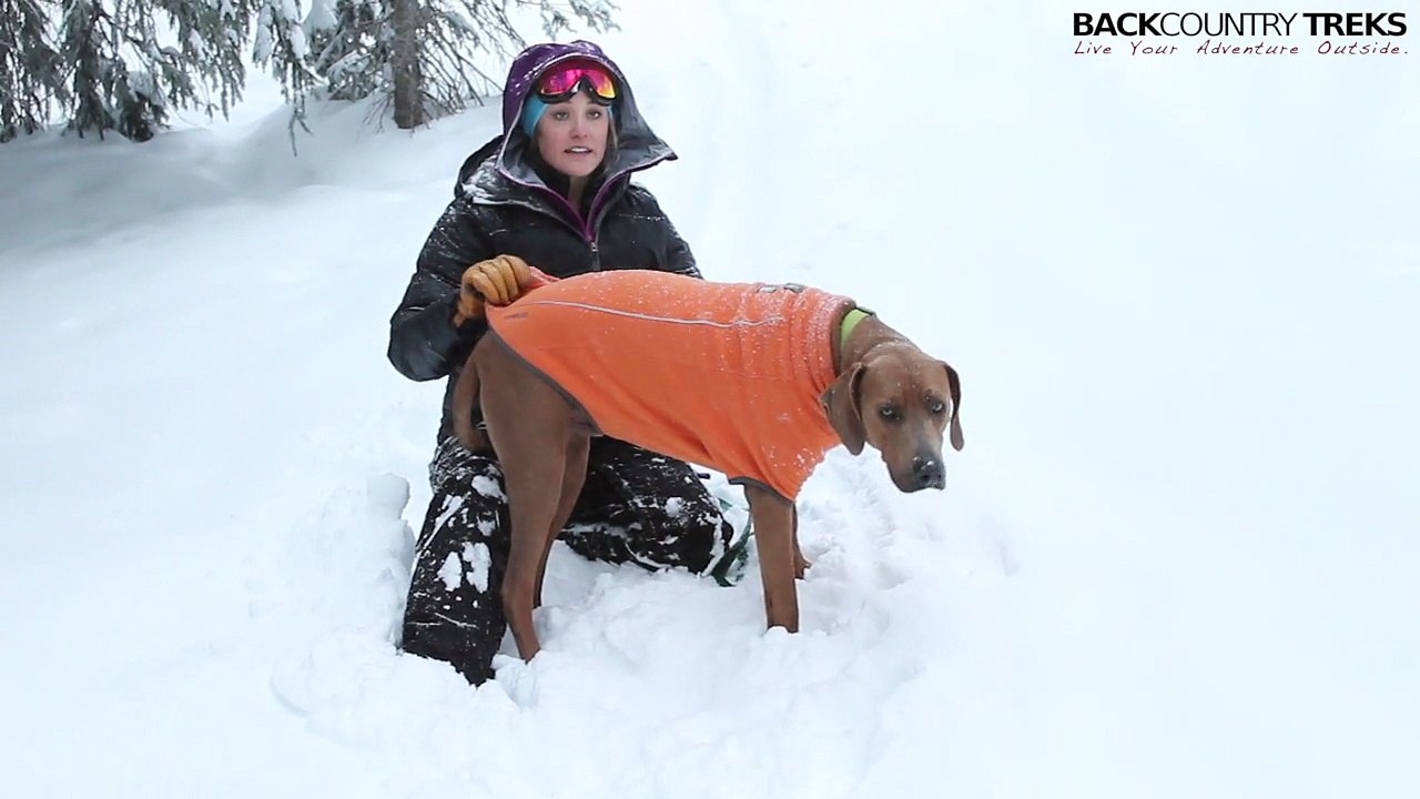 Your Dog Needs to Stay Warm Too: The Climate Changer by Ruffwear [Review]