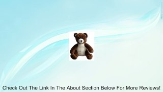 Benny the Bear Review