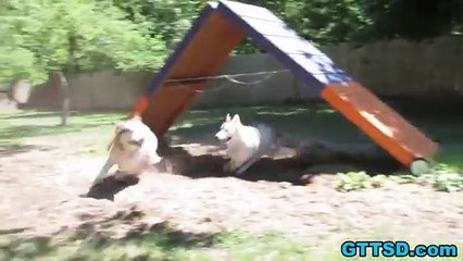 아이스하키↖★×★【DBF808.ＣOＭ】 ↖★×★아이스하키O­Ｍ】 ↖★×★아­이­스­하­키