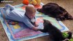 Lustige Videos Von Katzen Und Babys Zusammenstellung 2014 [NEU]