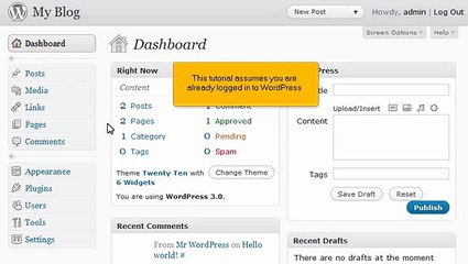 Tutorial How to write a comment in WordPress - LayerOnline Web Hosting