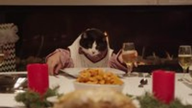 Cats and dogs have a holiday feast