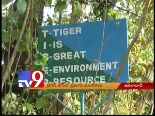 Hunters  threat to Adilabad tiger zone