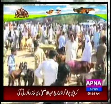 sarai alamgir arshad sina report eid day