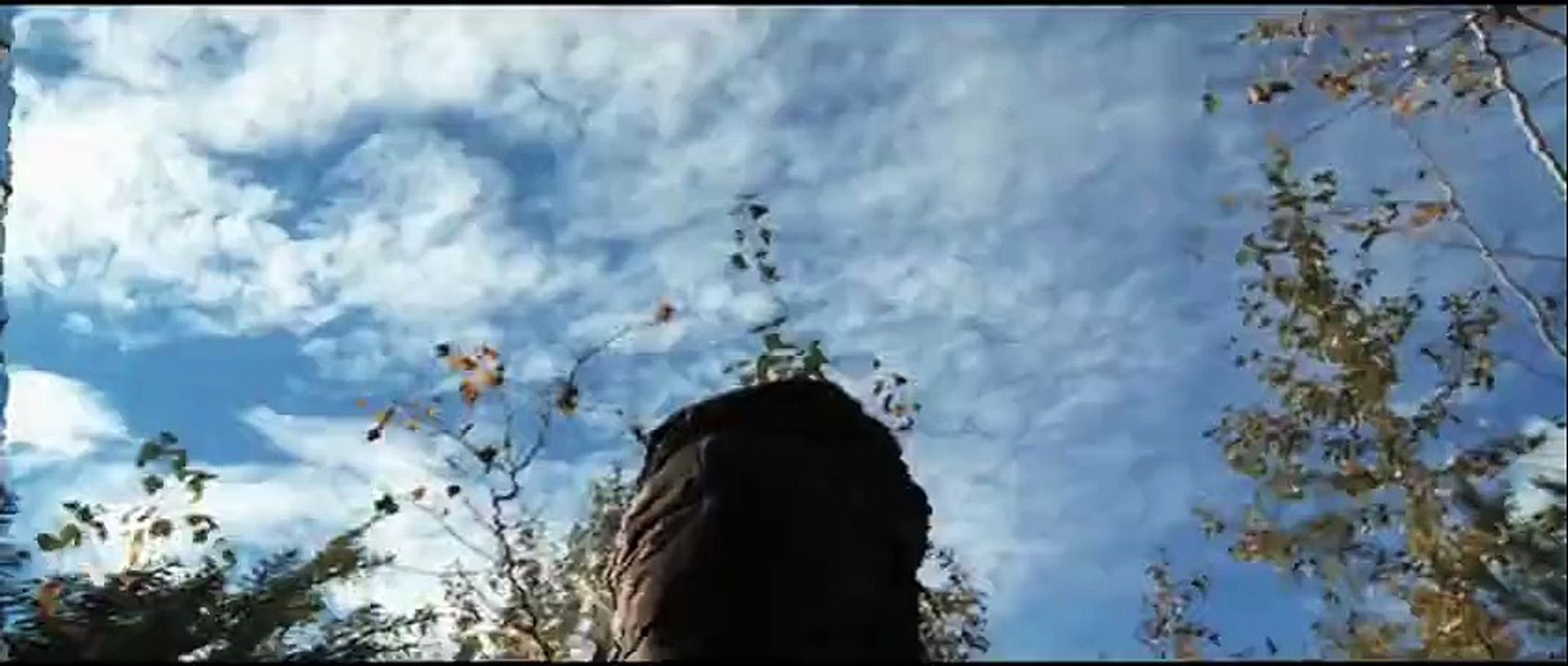 Embedded trailer