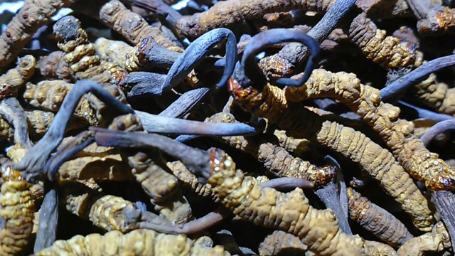 Cửa hàng bán quà tặng cao cấp dành cho các sếp, Quà tặng biếu sếp cao cấp, mua quà biếu sếp loại cao cấp