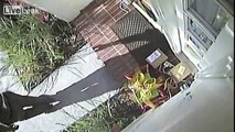UPS guy steals Xmas gift left by Fed-Ex guy!