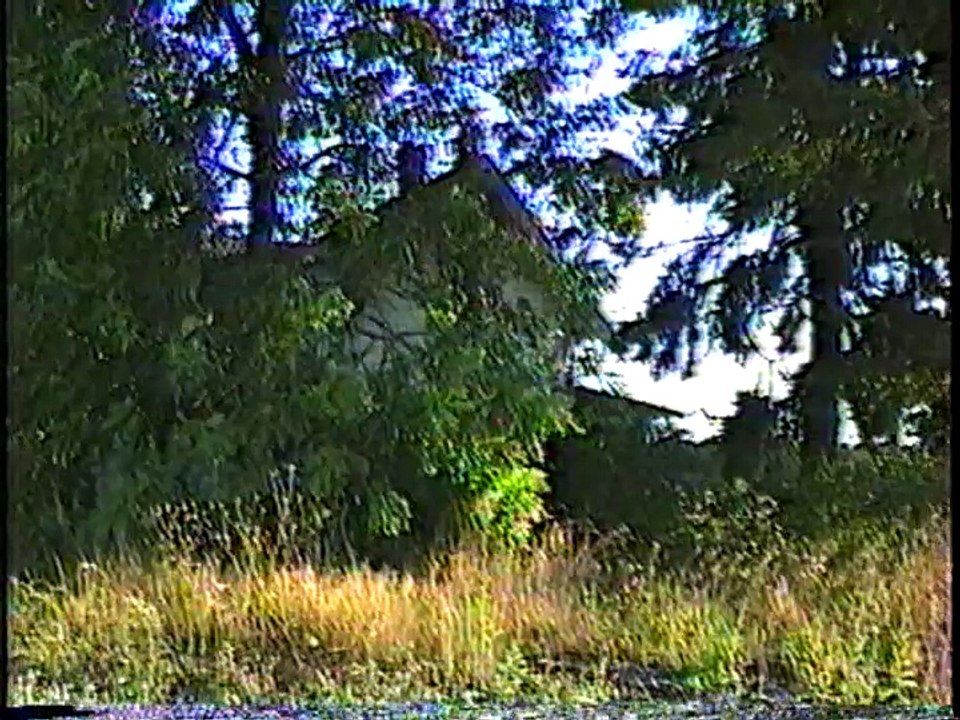 Exploring Oregon #2 (Irish Bend, Antique Powerland, Antique Tractors)