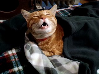 ユラーくん、ヤバイ　H26,12,27