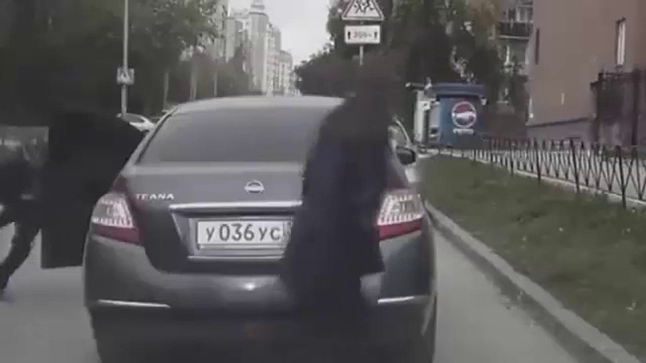 Clever Car Thief