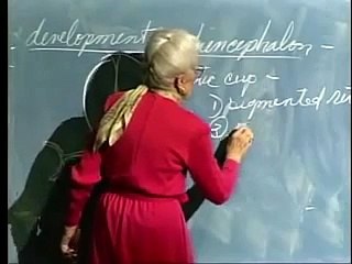 Anatomy of Eye part 4