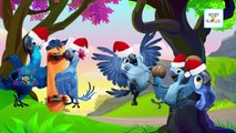 Rio 2 Finger Family Christmas Songs | Cartoon Animation Nursery Rhymes for Children Babies