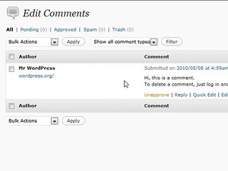 WordPress Tutorial  -06 -  Comments