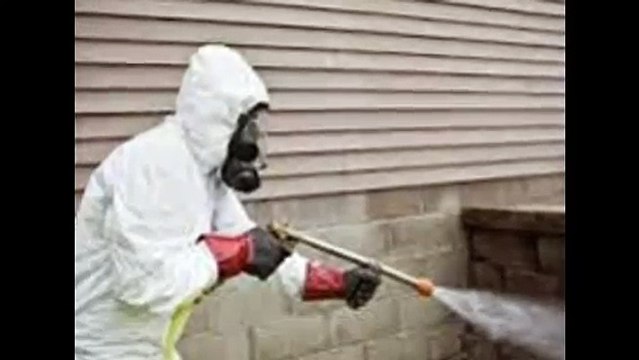 شركة مكافحة حشرات بالمدينة المنورة 0560602394 شركة رش مبيدات