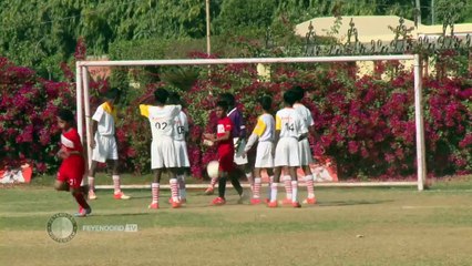 27-12-2014 Feyenoord gaat de wereld over