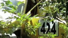 HD rallyROM Sezonul 2004 VTM Cisnadioara