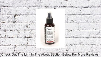 GODIN 035892 Luthier Grade Guitar Polish 4 oz. Review