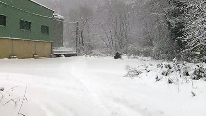 scrambler 700 by xav