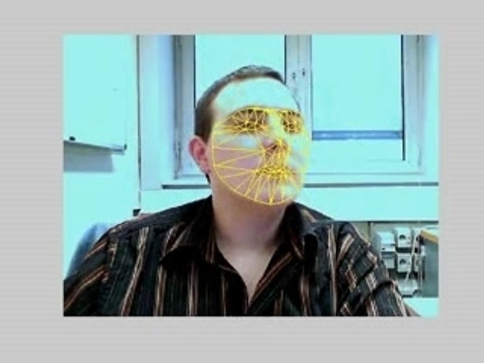 Face Features Detection with AAM.