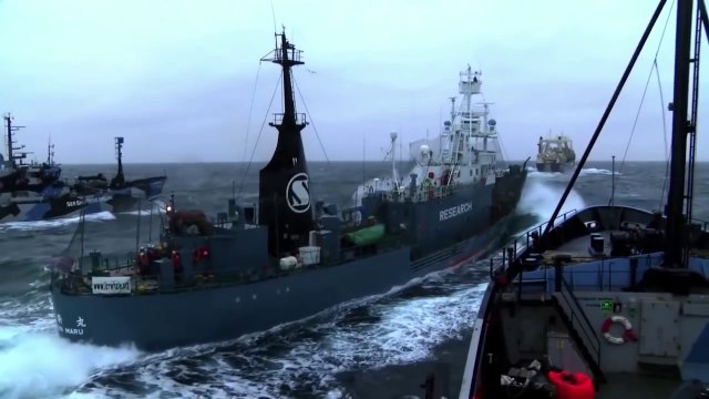 Les plus grands évènements de 2014! Year in review...