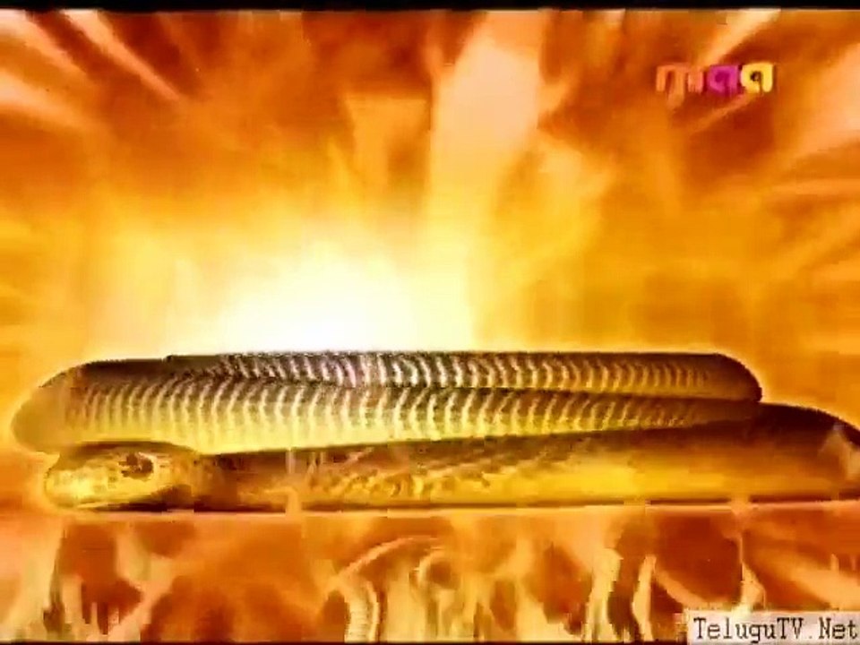Nagamma Song  2