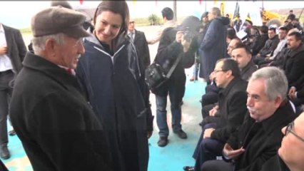 Kolin'den Soma'ya 60 Bin Zeytin Fidanı