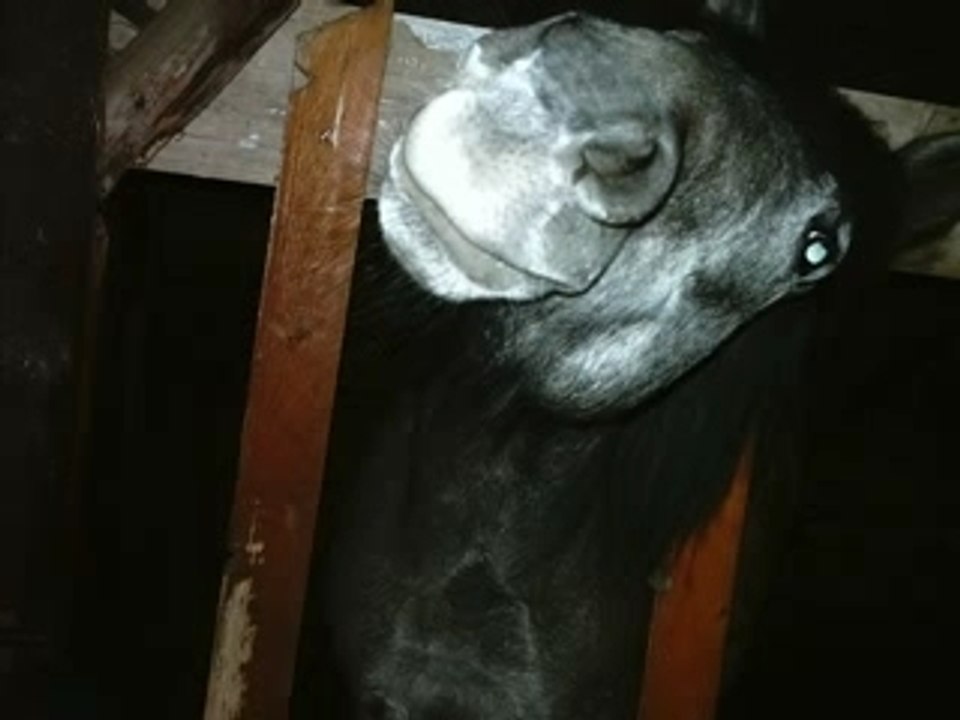 SansTitre_0001