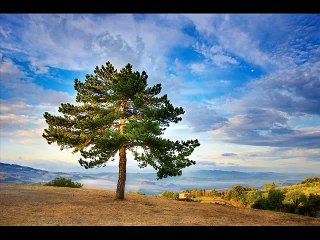 Giancarlo Petrarca - Going Away