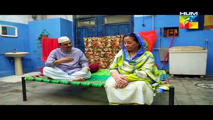 Digest Writer Episode 13 Full HUM TV Drama Dec 27, 2014