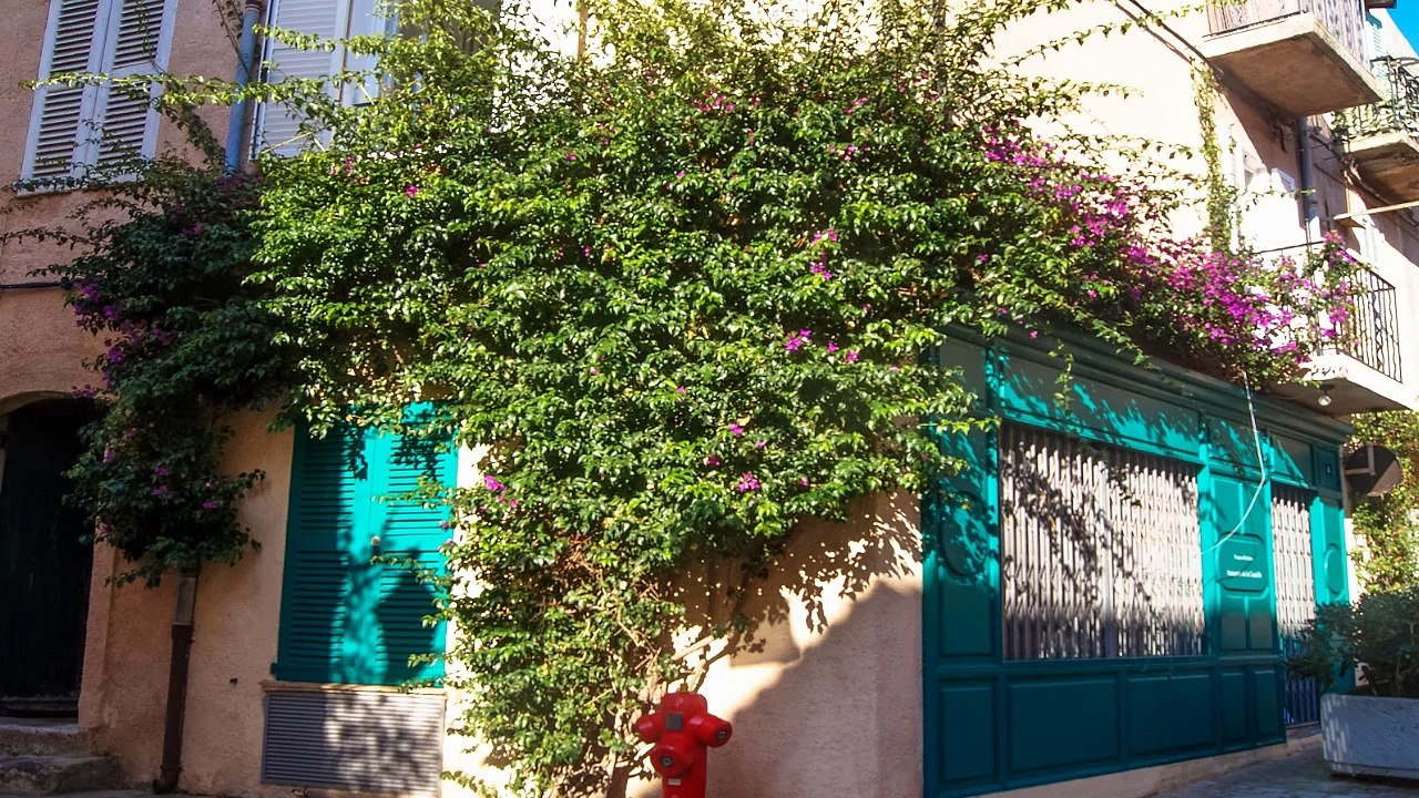 balade à Saint-Tropez