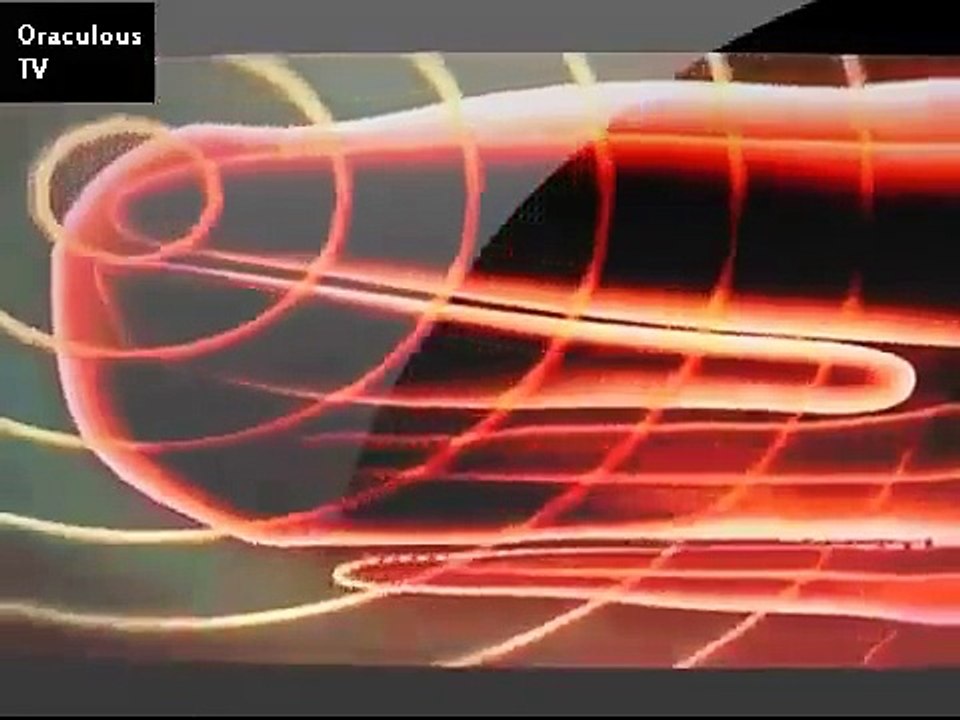 Dangerous Animals SPERM WHALE VS GIANT SQUID EVIDENCE OF ENCOUNTERS Discovery Animals Nat