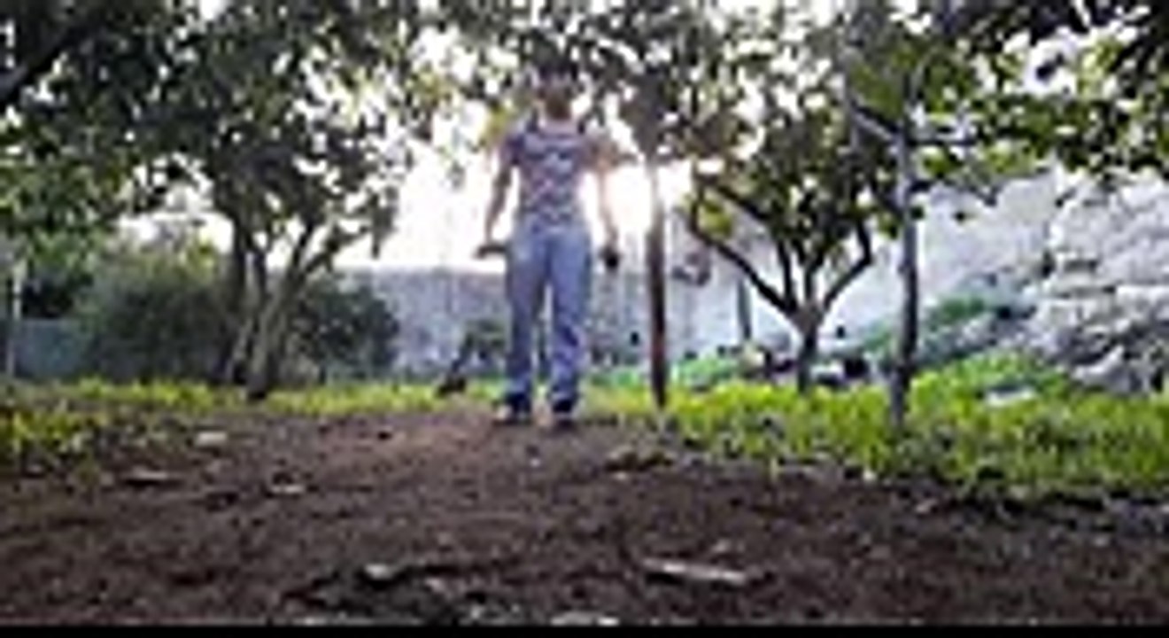 bicepsshoulderworkout