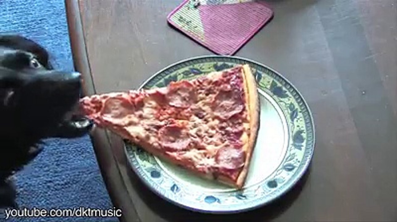 VID-20141118-WA0012