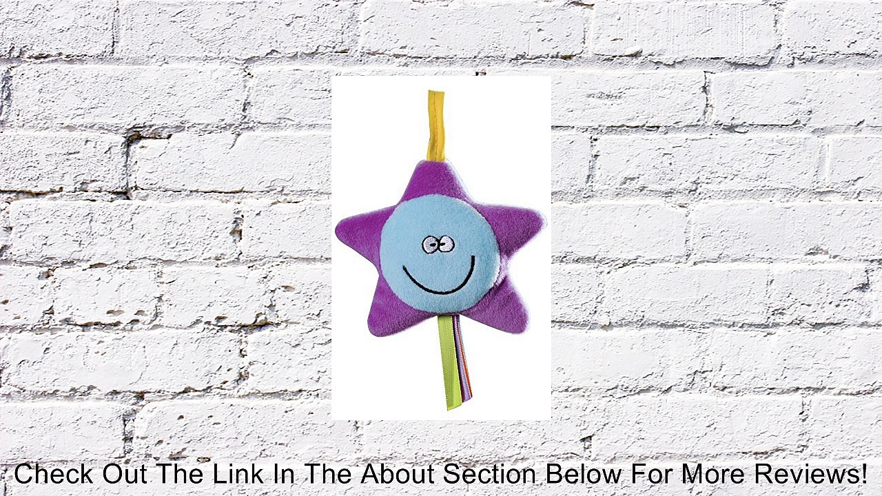 Taf Toys Infant Car Seat Style Toy Review