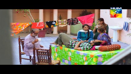 Digest Writer Episode 13 Part 2 HUM TV Drama Dec 27_ 2014