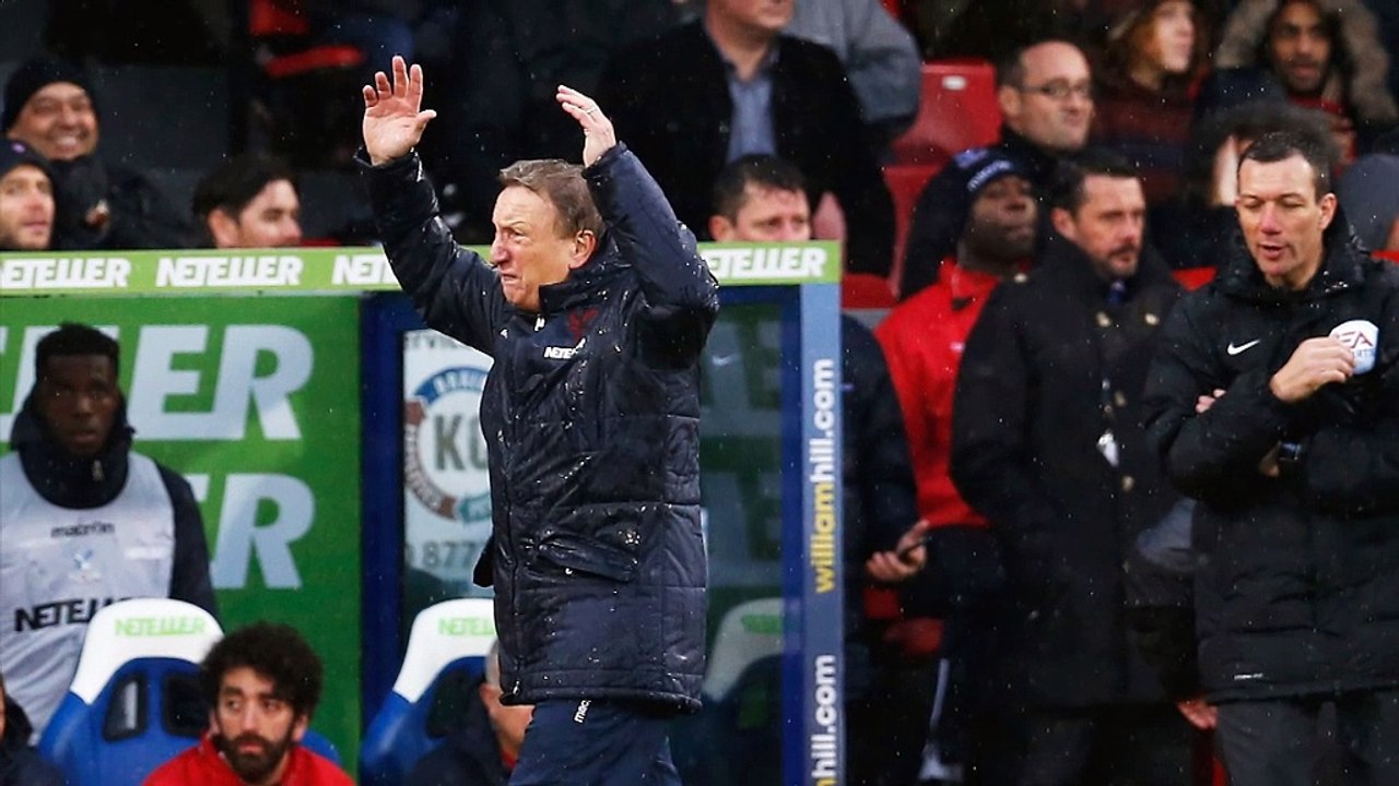 Warnock bei Crystal Palace entlassen