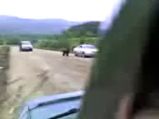 Black bear attacks Man