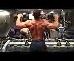 Aesthetic Natural Bodybuilding Motivation Fitness Aesthetics YouTube