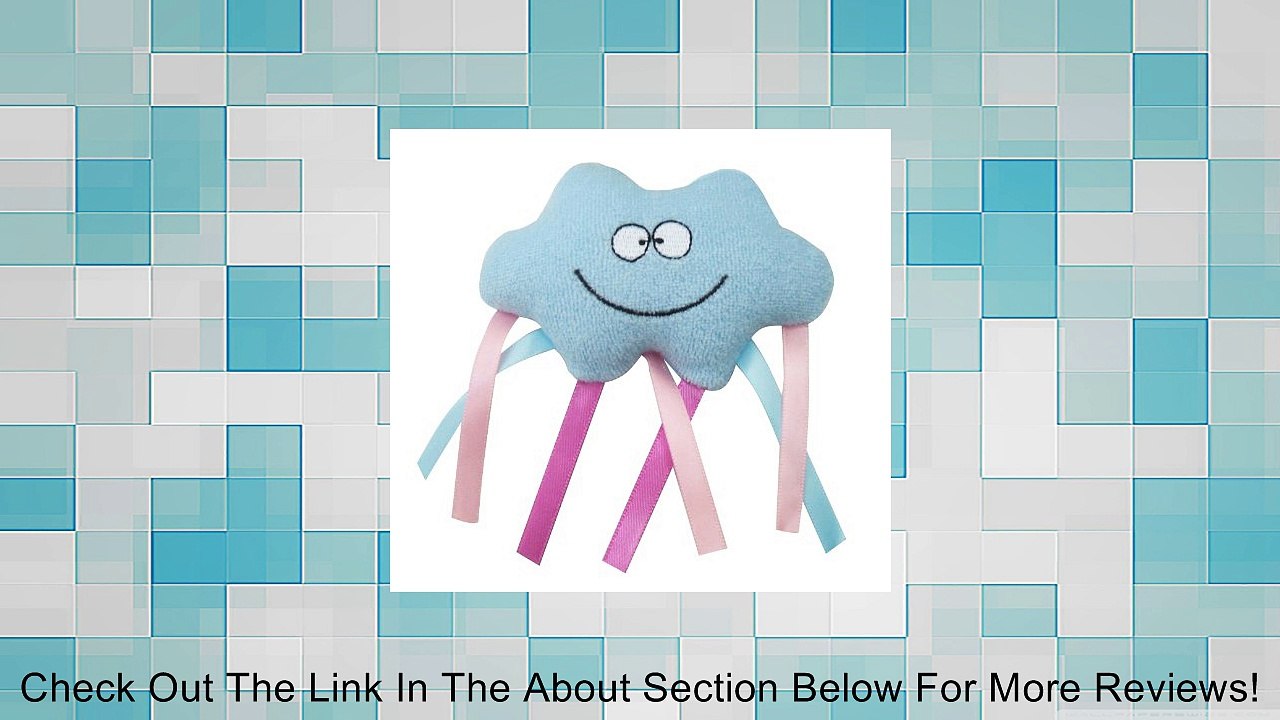 Taf Toys Toe Time - Infant Car Toy Review