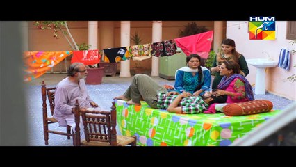 Digest Writer Episode 13 Full HUM TV Drama Dec 27_ 2014